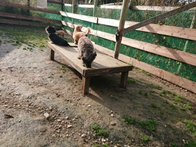 f:id:roukenhome-ann:20181201072504j:plain f:id:roukenhome-ann:20181201072504j:plain