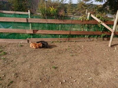 f:id:roukenhome-ann:20181201072510j:plain f:id:roukenhome-ann:20181201072510j:plain