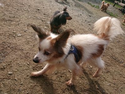 f:id:roukenhome-ann:20181201072916j:plain f:id:roukenhome-ann:20181201072916j:plain