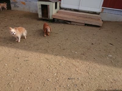 f:id:roukenhome-ann:20181201072930j:plain f:id:roukenhome-ann:20181201072930j:plain