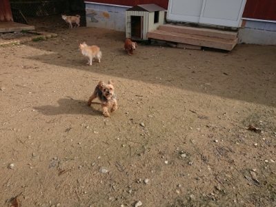 f:id:roukenhome-ann:20181201073022j:plain f:id:roukenhome-ann:20181201073022j:plain