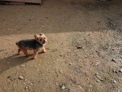 f:id:roukenhome-ann:20181201073027j:plain f:id:roukenhome-ann:20181201073027j:plain