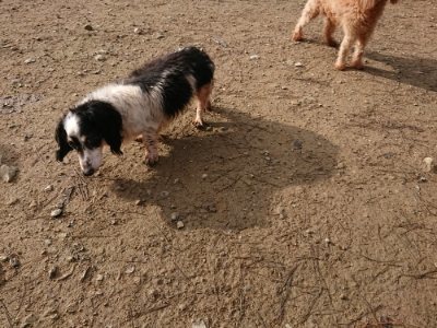 f:id:roukenhome-ann:20181201073052j:plain f:id:roukenhome-ann:20181201073052j:plain