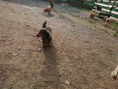 f:id:roukenhome-ann:20181201073134j:plain f:id:roukenhome-ann:20181201073134j:plain
