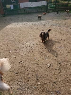 f:id:roukenhome-ann:20181201073211j:plain f:id:roukenhome-ann:20181201073211j:plain