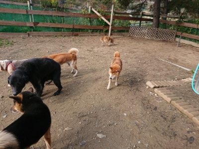 f:id:roukenhome-ann:20181201073923j:plain f:id:roukenhome-ann:20181201073923j:plain