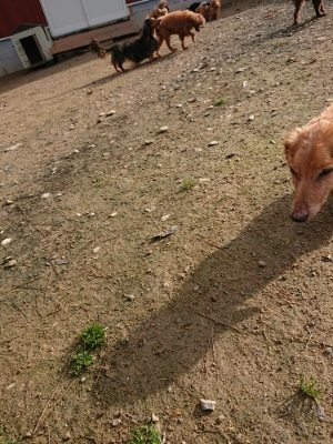 f:id:roukenhome-ann:20181201074004j:plain f:id:roukenhome-ann:20181201074004j:plain