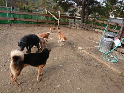 f:id:roukenhome-ann:20181201074019j:plain f:id:roukenhome-ann:20181201074019j:plain
