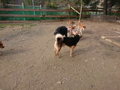 f:id:roukenhome-ann:20181201074043j:plain f:id:roukenhome-ann:20181201074043j:plain