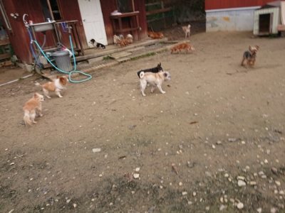 f:id:roukenhome-ann:20181201180304j:plain