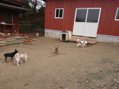 f:id:roukenhome-ann:20181201180310j:plain