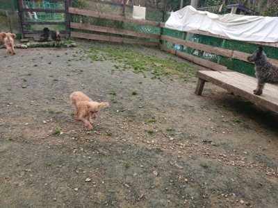 f:id:roukenhome-ann:20181201180350j:plain