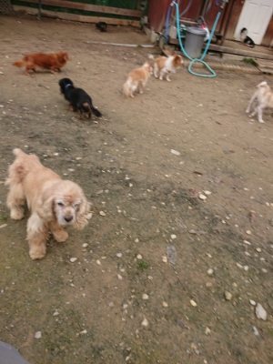 f:id:roukenhome-ann:20181201180357j:plain