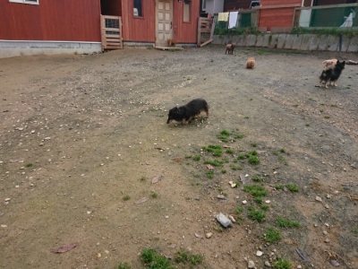 f:id:roukenhome-ann:20181201180430j:plain