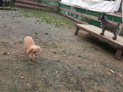 f:id:roukenhome-ann:20181201180438j:plain