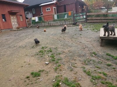 f:id:roukenhome-ann:20181201180514j:plain
