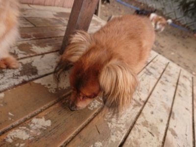 f:id:roukenhome-ann:20181201180532j:plain