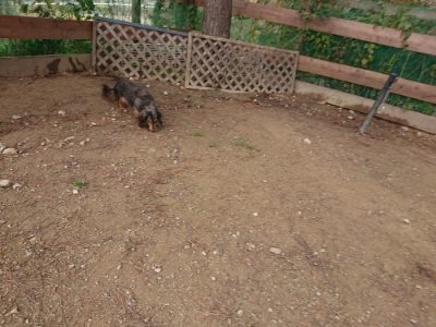f:id:roukenhome-ann:20181201180608j:plain