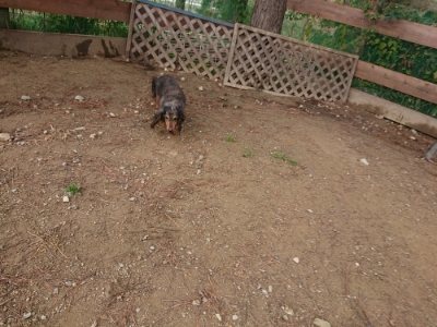 f:id:roukenhome-ann:20181201180613j:plain