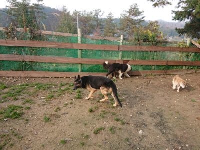 f:id:roukenhome-ann:20181201181352j:plain
