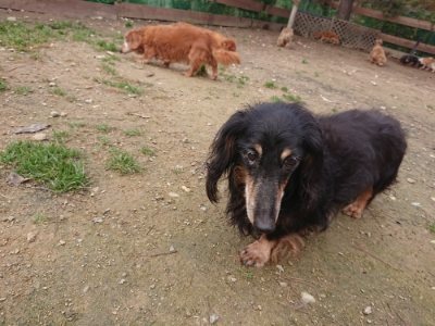 f:id:roukenhome-ann:20181201181444j:plain