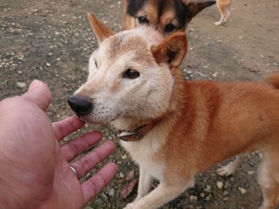 f:id:roukenhome-ann:20181201181515j:plain