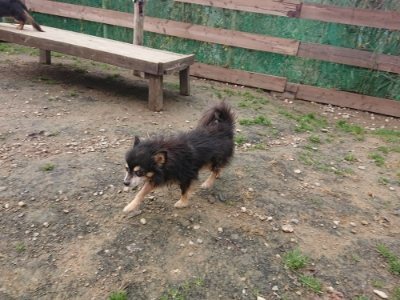 f:id:roukenhome-ann:20181201181521j:plain