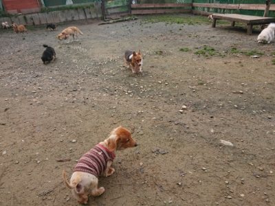 f:id:roukenhome-ann:20181201181531j:plain
