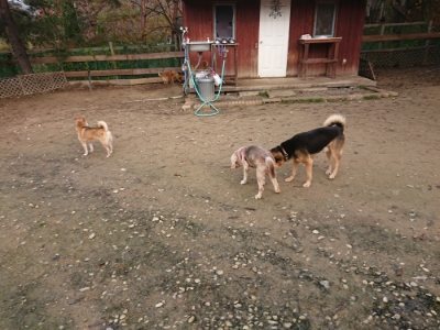 f:id:roukenhome-ann:20181201181547j:plain