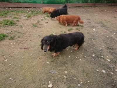 f:id:roukenhome-ann:20181201181607j:plain