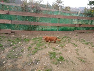 f:id:roukenhome-ann:20181201181713j:plain