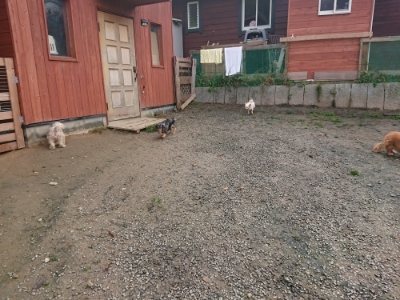 f:id:roukenhome-ann:20181201181718j:plain
