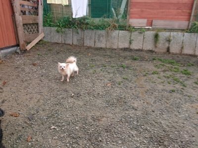 f:id:roukenhome-ann:20181201181725j:plain