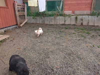 f:id:roukenhome-ann:20181201181841j:plain
