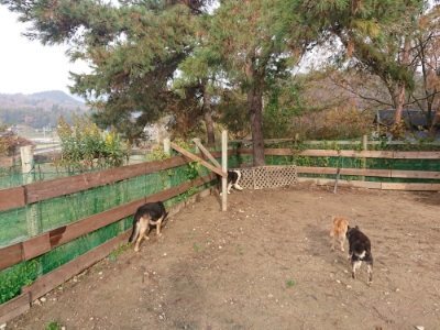 f:id:roukenhome-ann:20181201182147j:plain