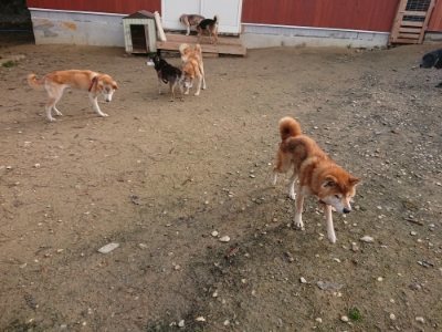 f:id:roukenhome-ann:20181201182152j:plain