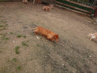f:id:roukenhome-ann:20181201182203j:plain
