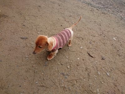 f:id:roukenhome-ann:20181201182219j:plain
