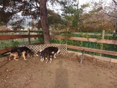 f:id:roukenhome-ann:20181201182224j:plain
