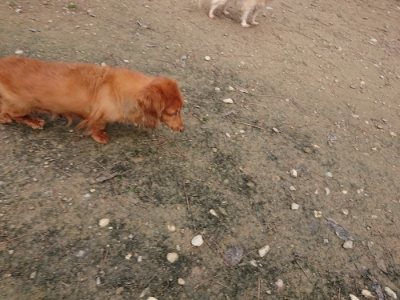f:id:roukenhome-ann:20181201182238j:plain