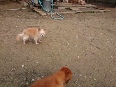 f:id:roukenhome-ann:20181201182243j:plain