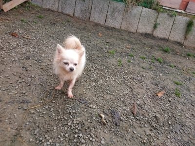 f:id:roukenhome-ann:20181201182249j:plain