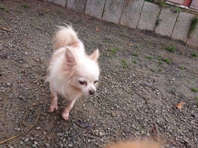 f:id:roukenhome-ann:20181201182255j:plain