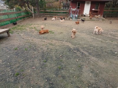 f:id:roukenhome-ann:20181201182321j:plain