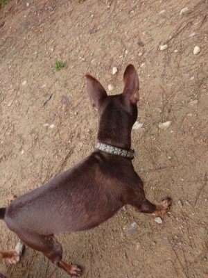 f:id:roukenhome-ann:20181201182336j:plain