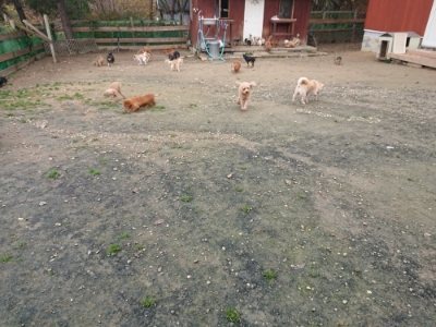 f:id:roukenhome-ann:20181201182352j:plain