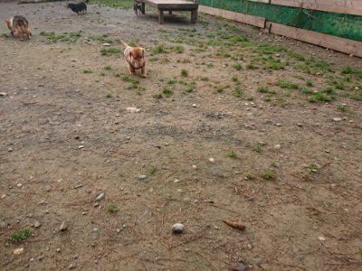 f:id:roukenhome-ann:20181201182357j:plain