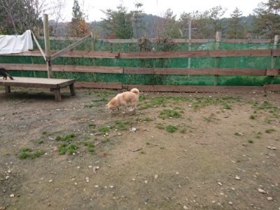 f:id:roukenhome-ann:20181201182703j:plain