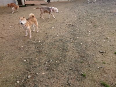 f:id:roukenhome-ann:20181201182752j:plain