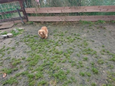 f:id:roukenhome-ann:20181201182803j:plain